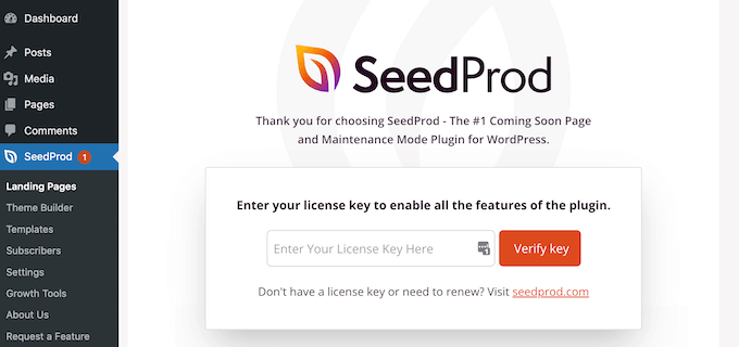 将SeedProd许可证密钥添加到您的网站