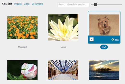 Images in WordPress media library displayed in a grid Images in WordPress media library displayed in a grid