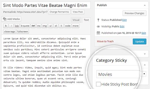 Category sticky metabox on post edit screen in WordPress Category sticky metabox on post edit screen in WordPress