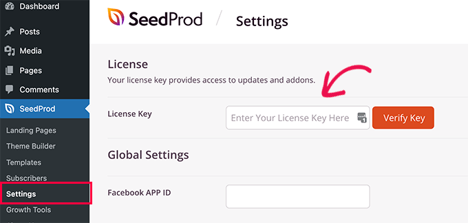 输入您的SeedProd许可证密钥