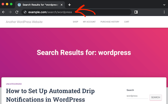 自定义WordPress搜索slug URL
