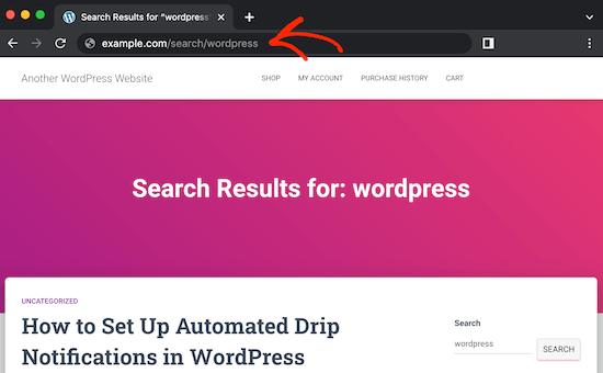 自定义WordPress搜索slug URL 自定义WordPress搜索slug URL