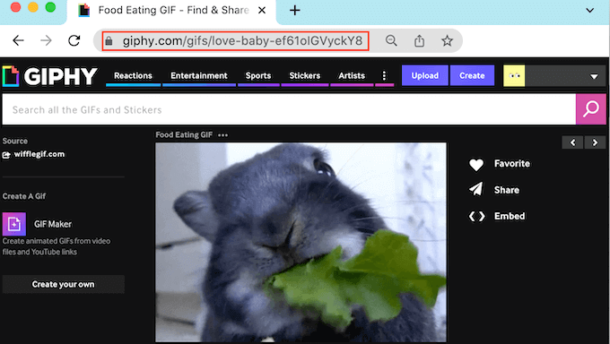 复制Giphy GIF URL 复制Giphy GIF URL