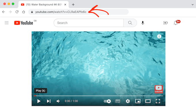 获取YouTube视频的URL 获取YouTube视频的URL