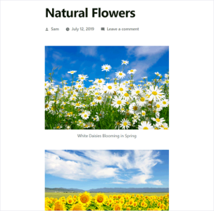 如何在WordPress中创建图像库