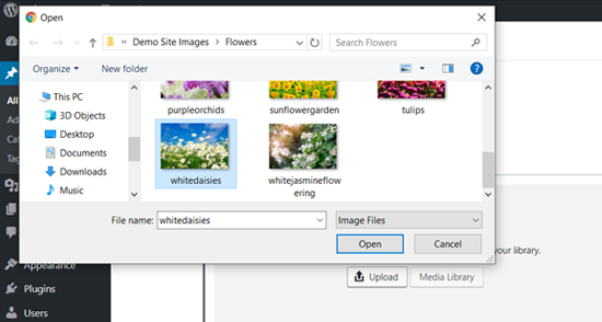 从计算机将图像上传到您的WordPress照片库 从计算机将图像上传到您的WordPress照片库