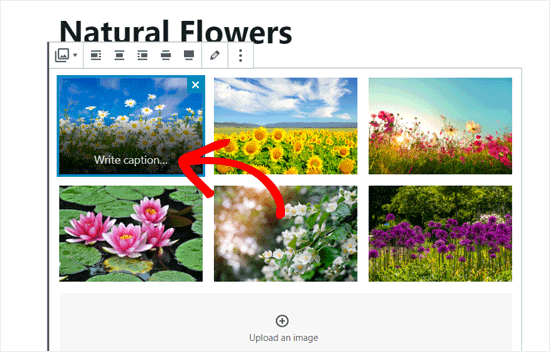 在您的画廊图像中写下标题 在您的画廊图像中写下标题