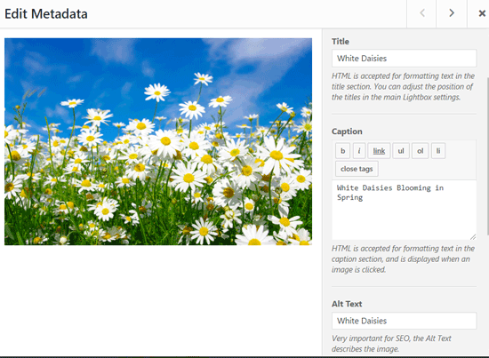 编辑画廊图像元数据 编辑画廊图像元数据