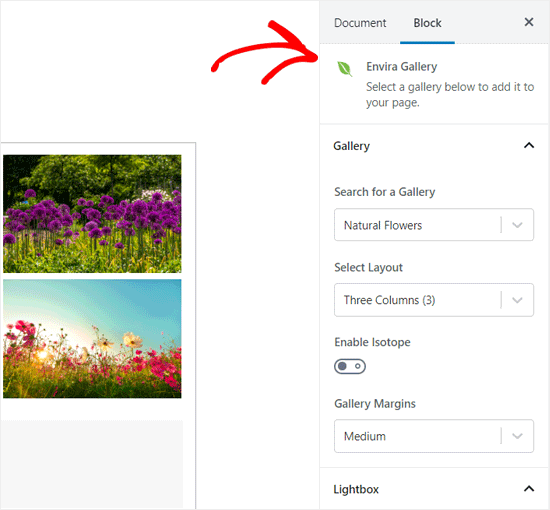 Envira画廊块设置 Envira画廊块设置