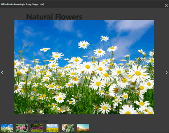 灯箱弹出窗口中的Envira画廊图像 灯箱弹出窗口中的Envira画廊图像