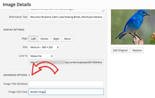 在WordPress中向图像添加CSS类 在WordPress中向图像添加CSS类