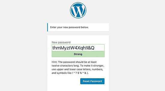 为您的WordPress帐户输入新密码