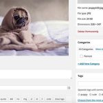 Add category and tags to your image