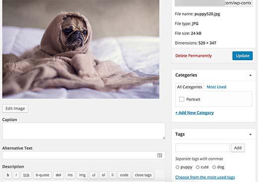 Add category and tags to your image Add category and tags to your image