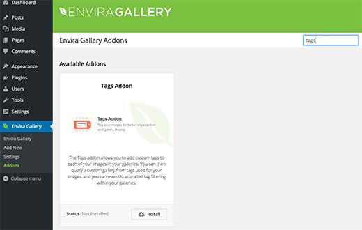 Envira Gallery tags addon Envira Gallery tags addon