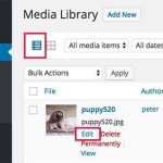 Switch to list view and click on edit link below any image