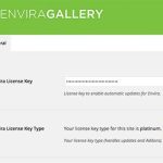 Envira Gallery license