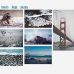 An image gallery with tags