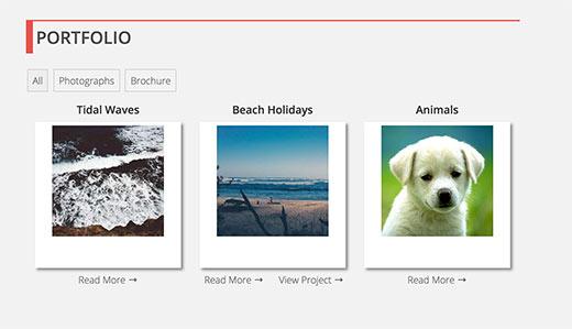 Portfolio section on a WordPress site Portfolio section on a WordPress site