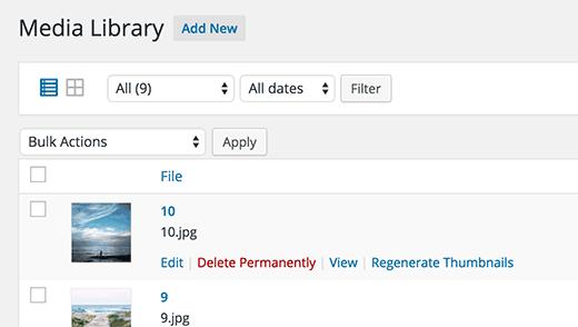 Regenerating image sizes in WordPress Regenerating image sizes in WordPress
