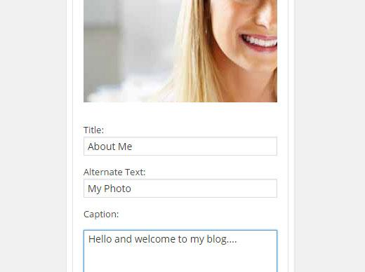 Image widget for WordPress Image widget for WordPress