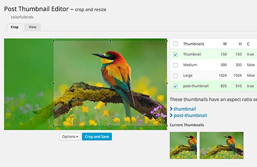 Editing post thumbnails in WordPress Editing post thumbnails in WordPress