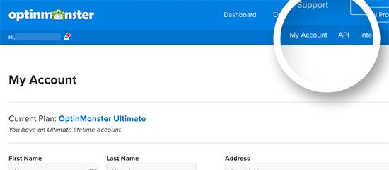 OptinMonster API keys OptinMonster API keys
