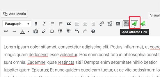 Thirsty Affiliate link button in WordPress visual post editor Thirsty Affiliate link button in WordPress visual post editor