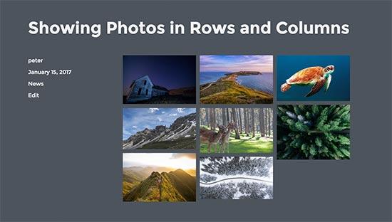 Display photos in rows and columns