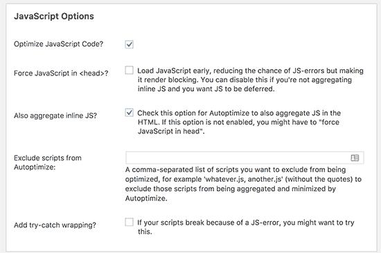 Advanced JavaScript Options Advanced JavaScript Options