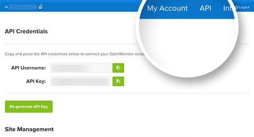 OptinMonster API Keys OptinMonster API Keys