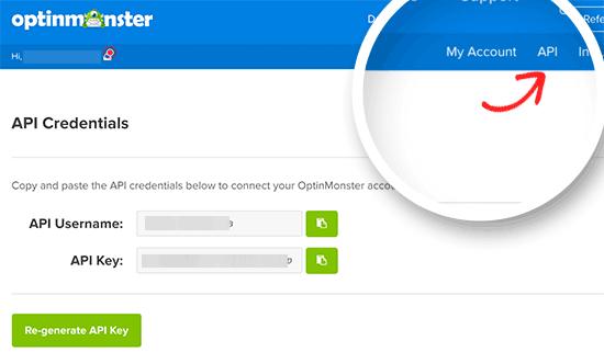 Copy OptinMonster API username and key Copy OptinMonster API username and key