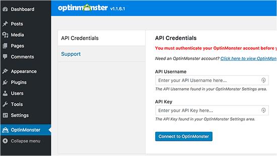 Enter your OptinMonster API key Enter your OptinMonster API key