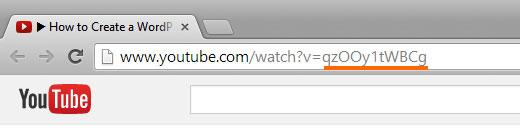 如何在WordPress中的YouTube视频上添加共享按钮作为叠加