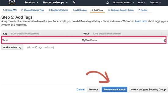 Review and launch Review and launch