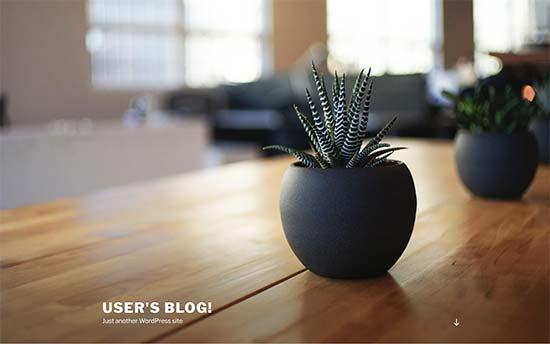 Default WordPress install Default WordPress install