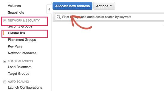 Copy your WordPress password Copy your WordPress password