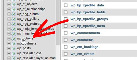 Select Database Select Database