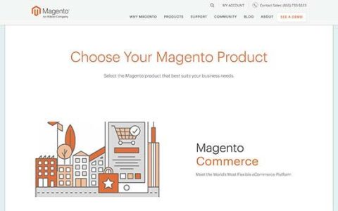 Magento vs WooCommerce  – 哪个更好？ （比较）
