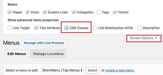 Enable CSS classes option for individual menu items Enable CSS classes option for individual menu items