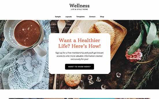 Wellness Wellness