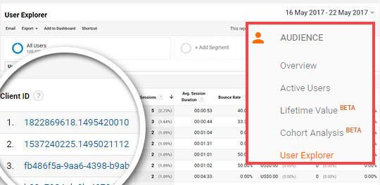 Google Analytics user IDs Google Analytics user IDs