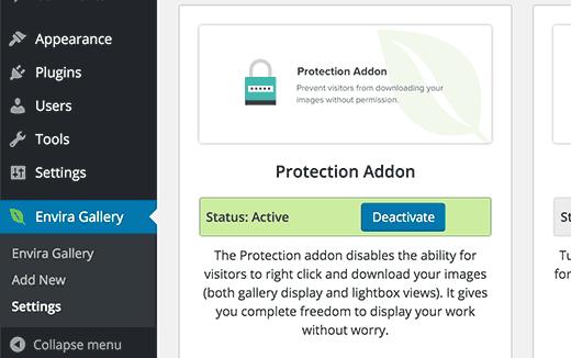 Image theft protection addon in Envira Gallery plugin for WordPress