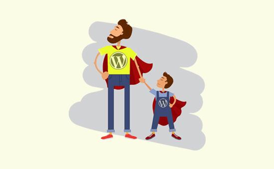 Using child theme to add custom code snippets in WordPress Using child theme to add custom code snippets in WordPress